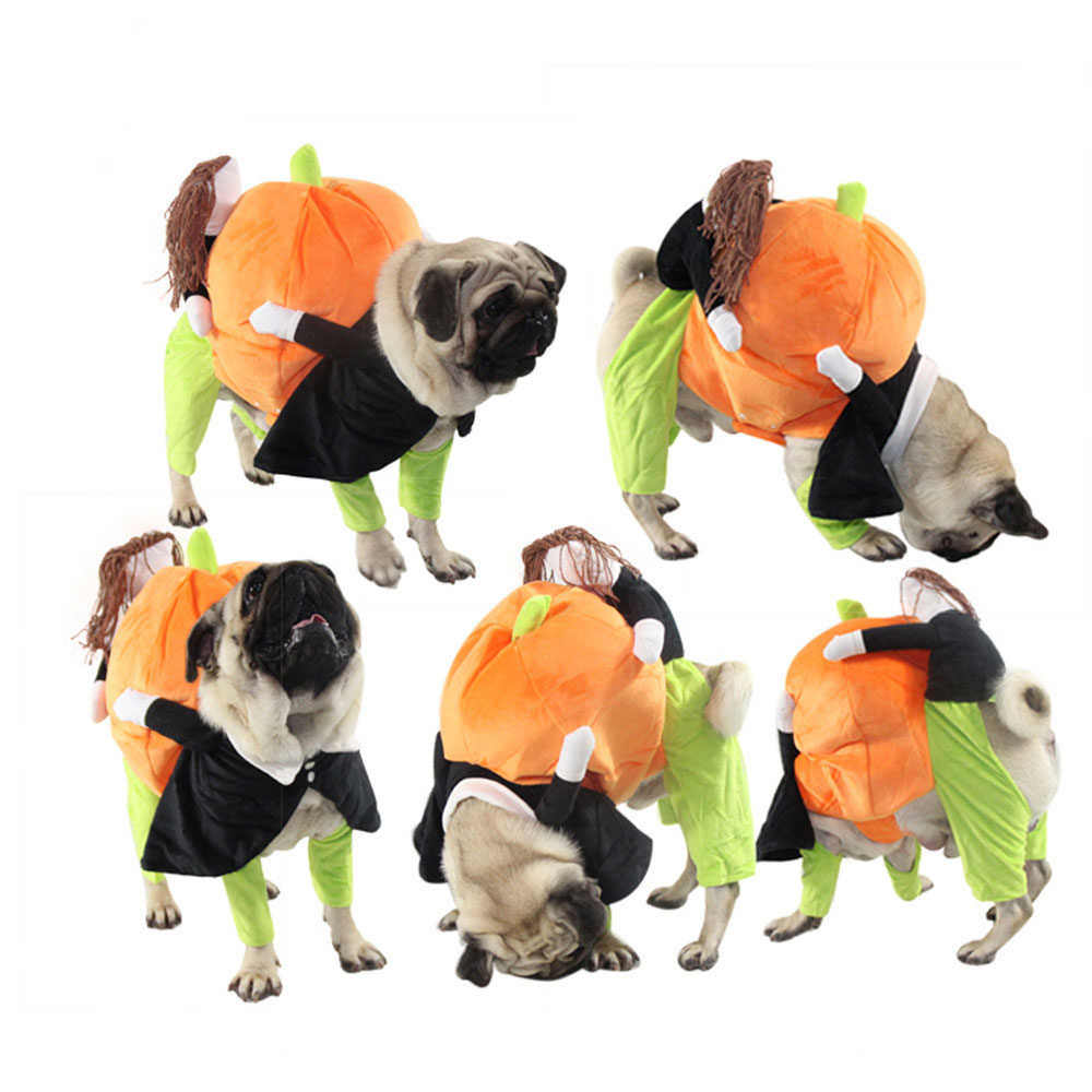 The Pet Life 'Pumpkin Mon' Halloween Pet Dog Costume is a hilarious illusion costume featuring a person and pet carrying a pumpkin. Convenient and machine washable. - Wolldi