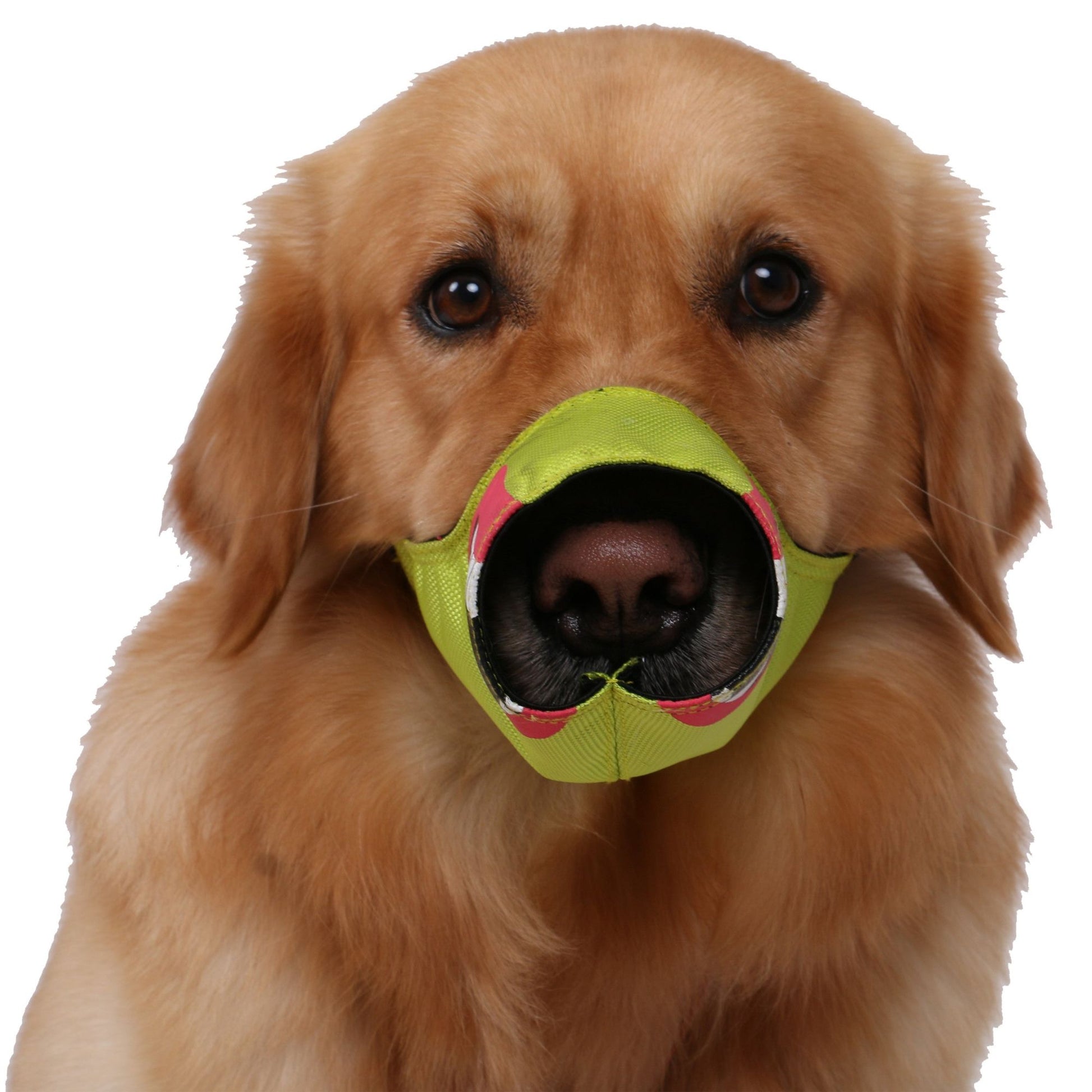 The Pet Life Fumigation Adjustable Designer Dog Muzzle helps prevent barking and chewing with a comfortable, adjustable design. - Wolldi