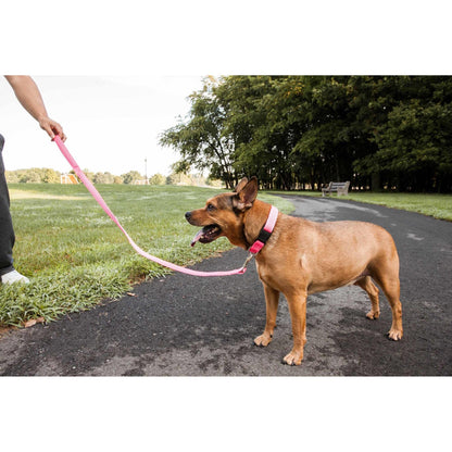 Breathable adjustable dog leash-colla Straps