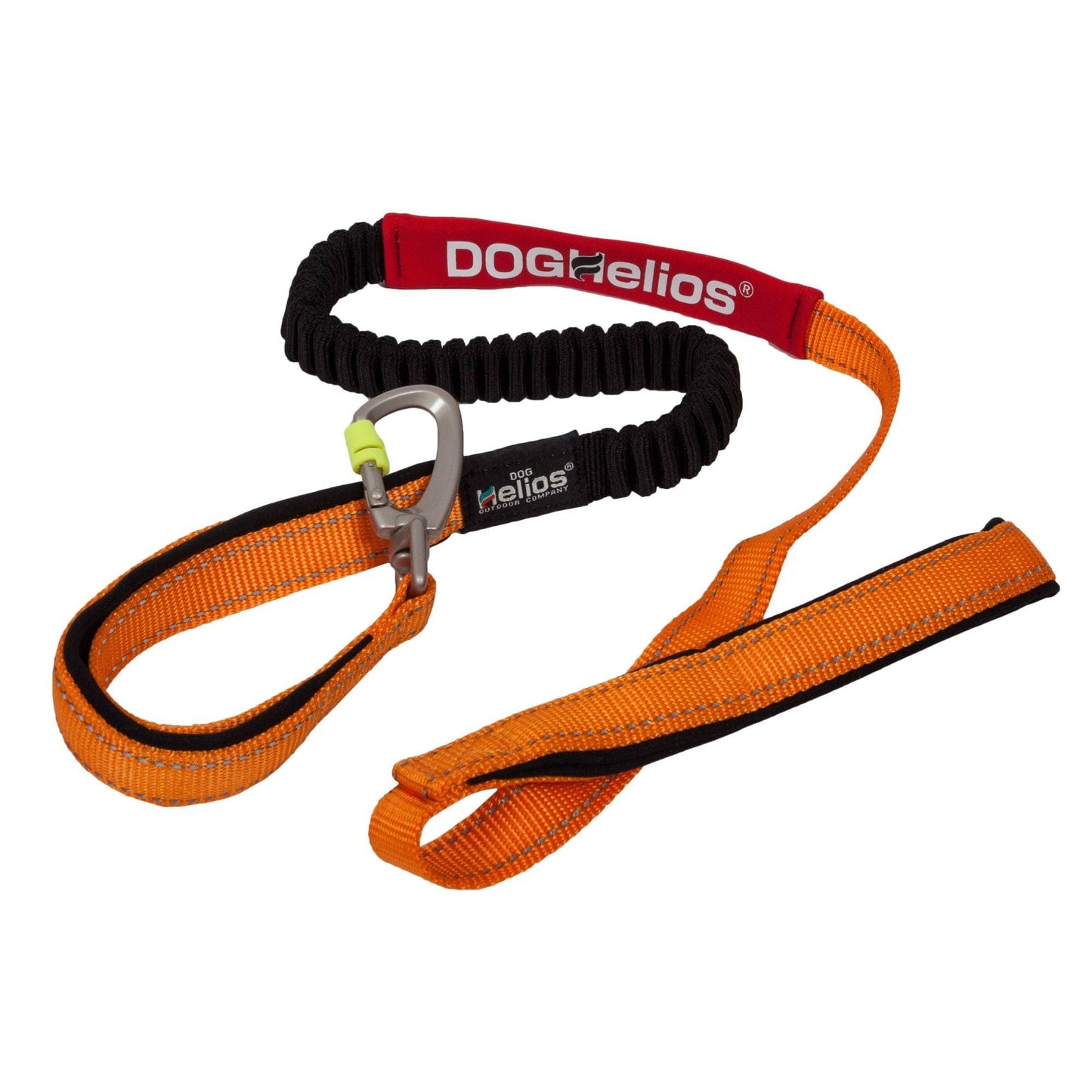 Indestructible dog leash and collar. Straps