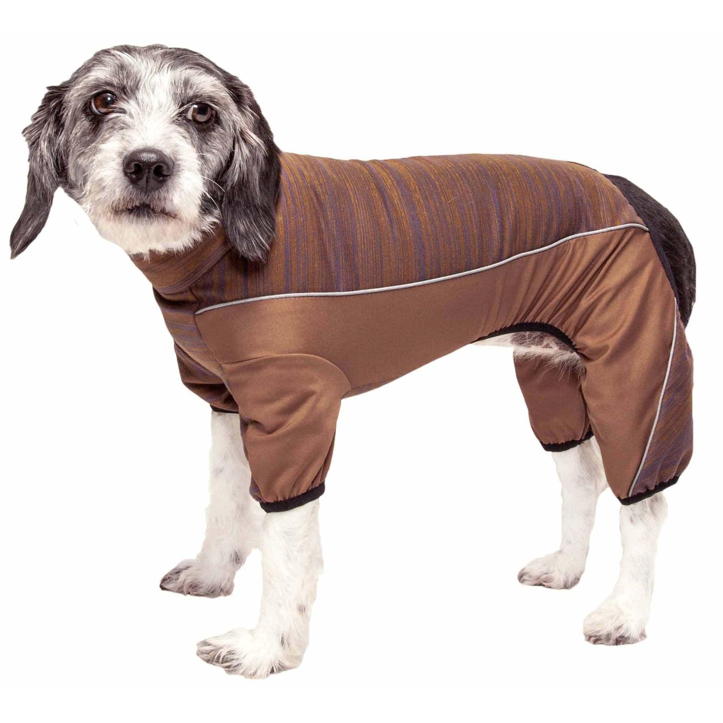 Tracksuit for Pets Canina