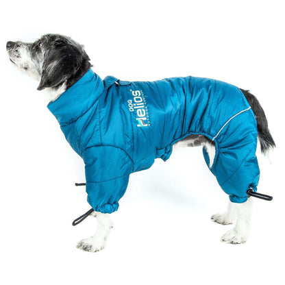 Dog jacket for extreme weather.