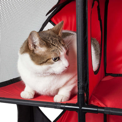 Collapsible Cat House for Multiple Cats HomeStyle