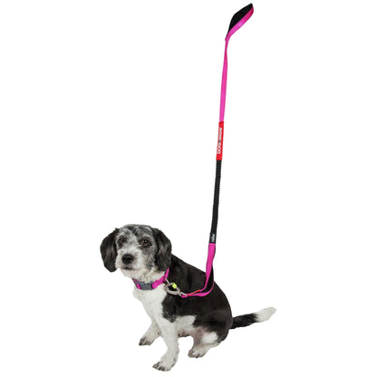 Indestructible dog leash and collar. Straps