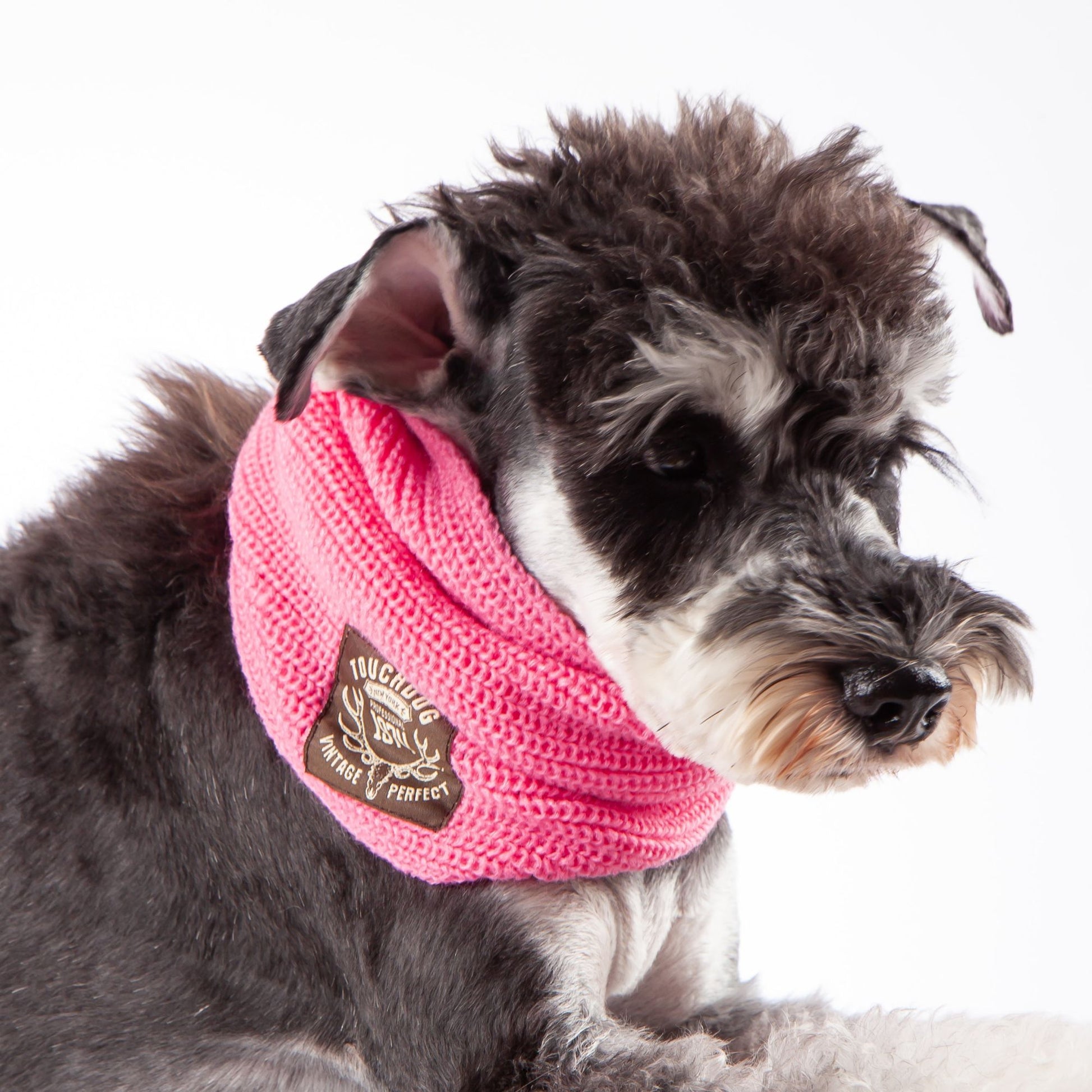 The Touchdog Heavy Knitted Winter Dog Scarf provides exceptional warmth and style. - Wolldi