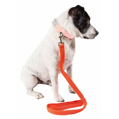 Comfortable and Breathable Dual-Sided Dog Leash Straps