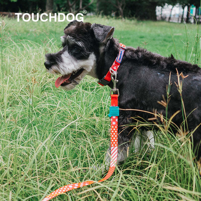 The Touchdog 'Trendzy' 2-in-1 leash and collar features fashionable prints and durable materials. - Wolldi