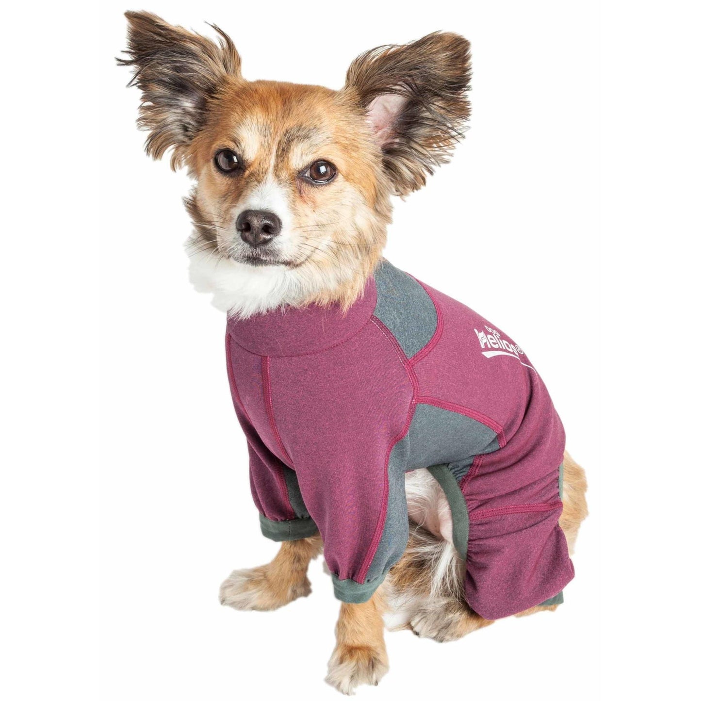 Dog track suit Fashion