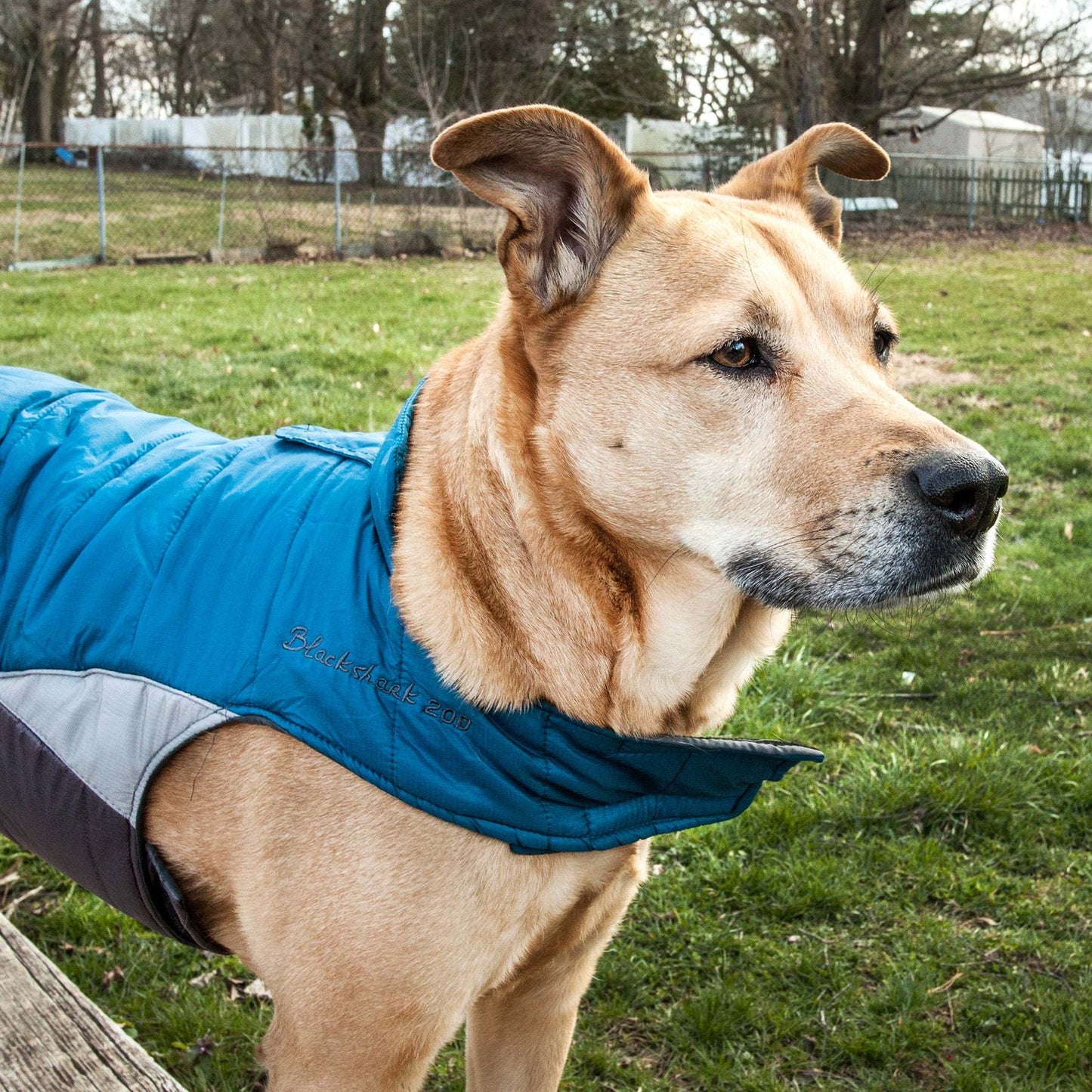 Waterproof Dog Coat with Reflective Safety