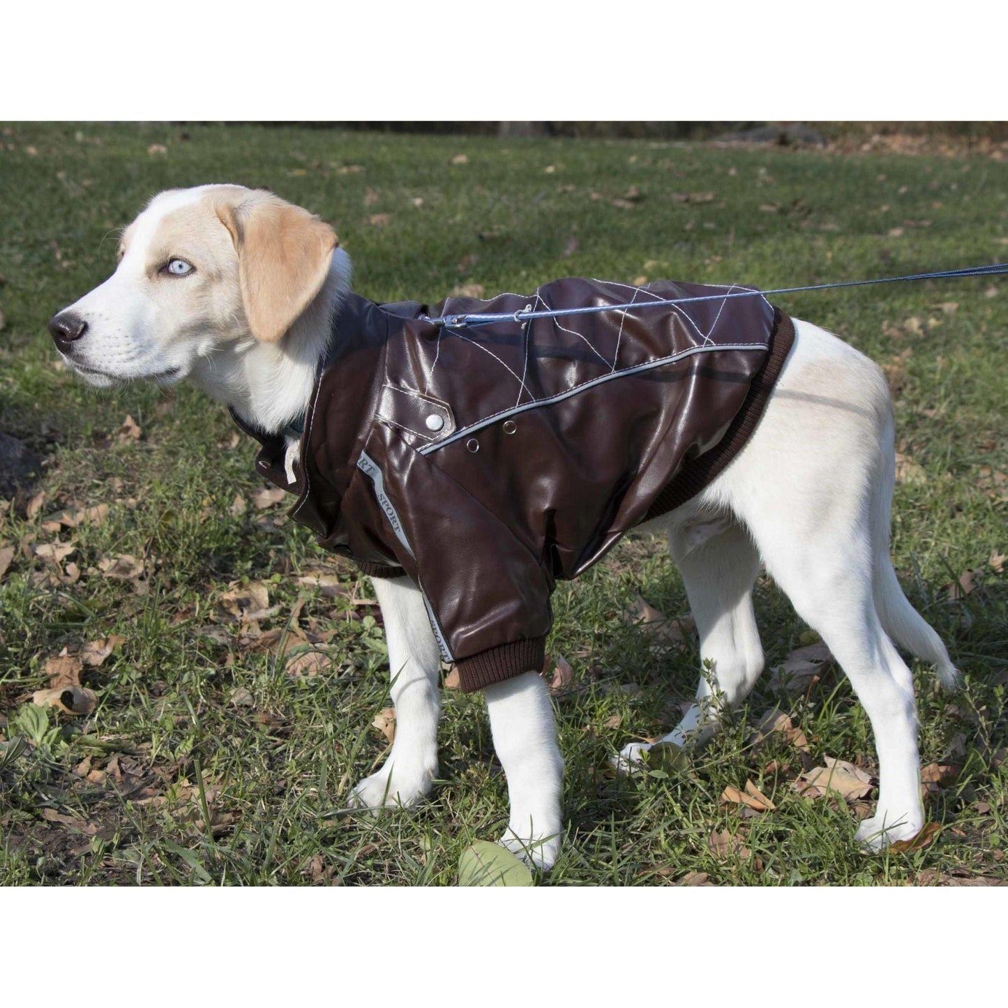 Stitched Pet Coat