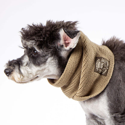 The Touchdog Heavy Knitted Winter Dog Scarf provides exceptional warmth and style. - Wolldi