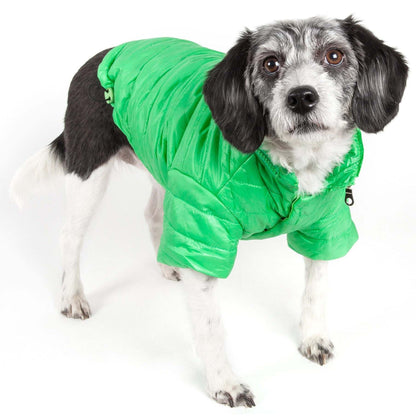 Lightweight adjustable dog coat for active pets. Fashion