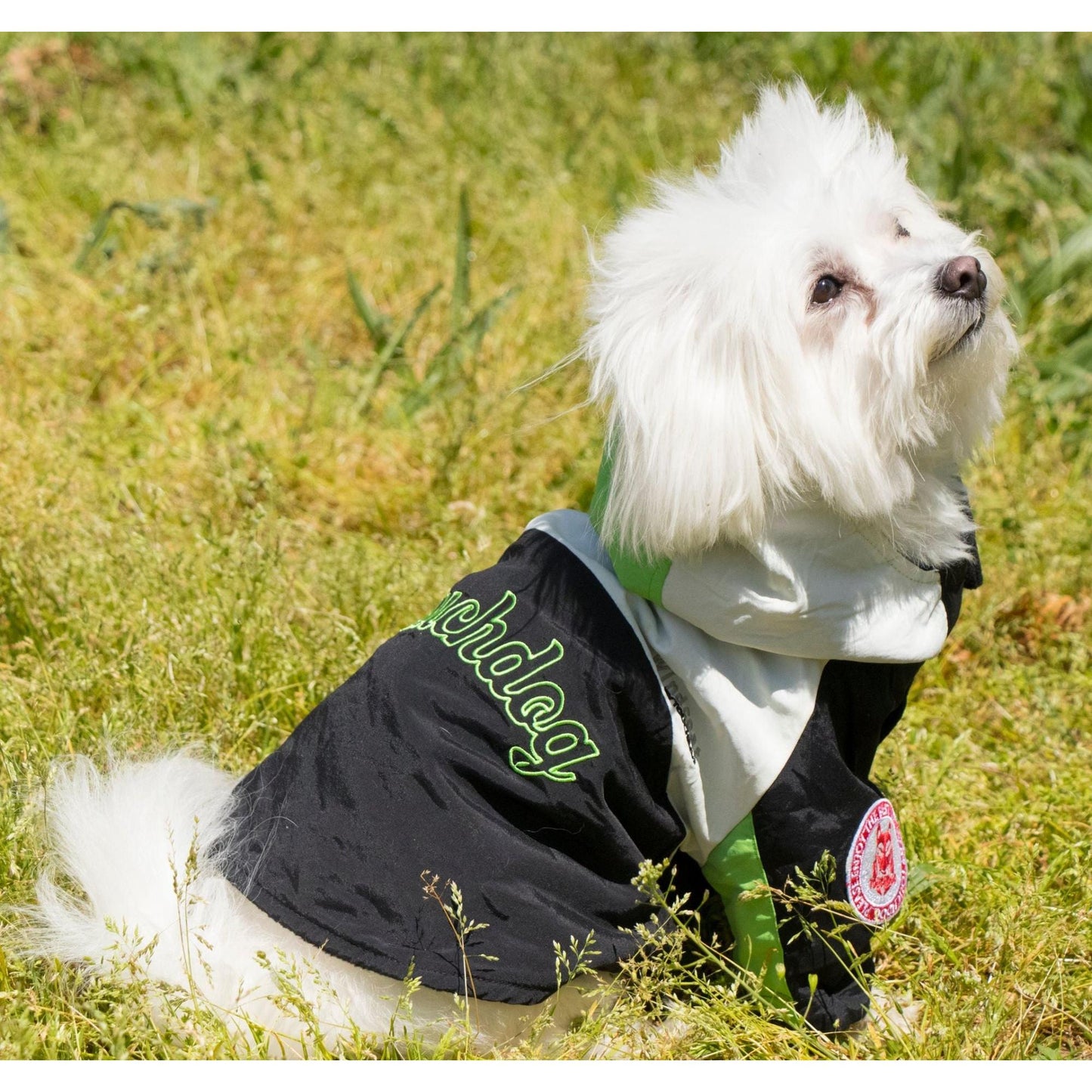 Pet Ski Jacket Fashion