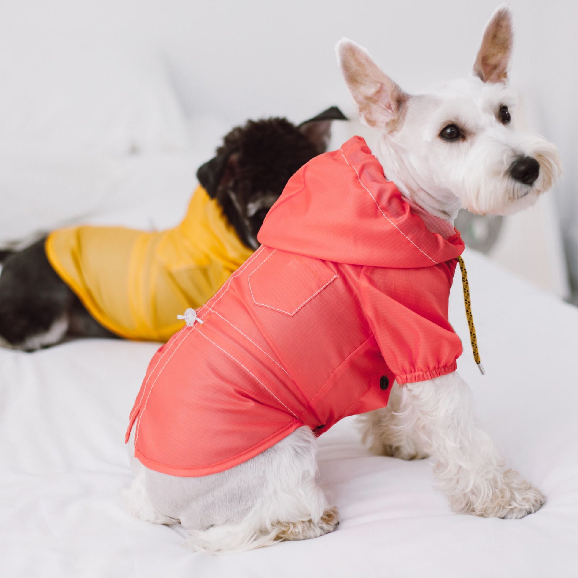 The Touchdog Split-Vent Designer Waterproof Dog Raincoat is a stylish and adjustable raincoat with reflective stitching for night visibility. - Wolldi