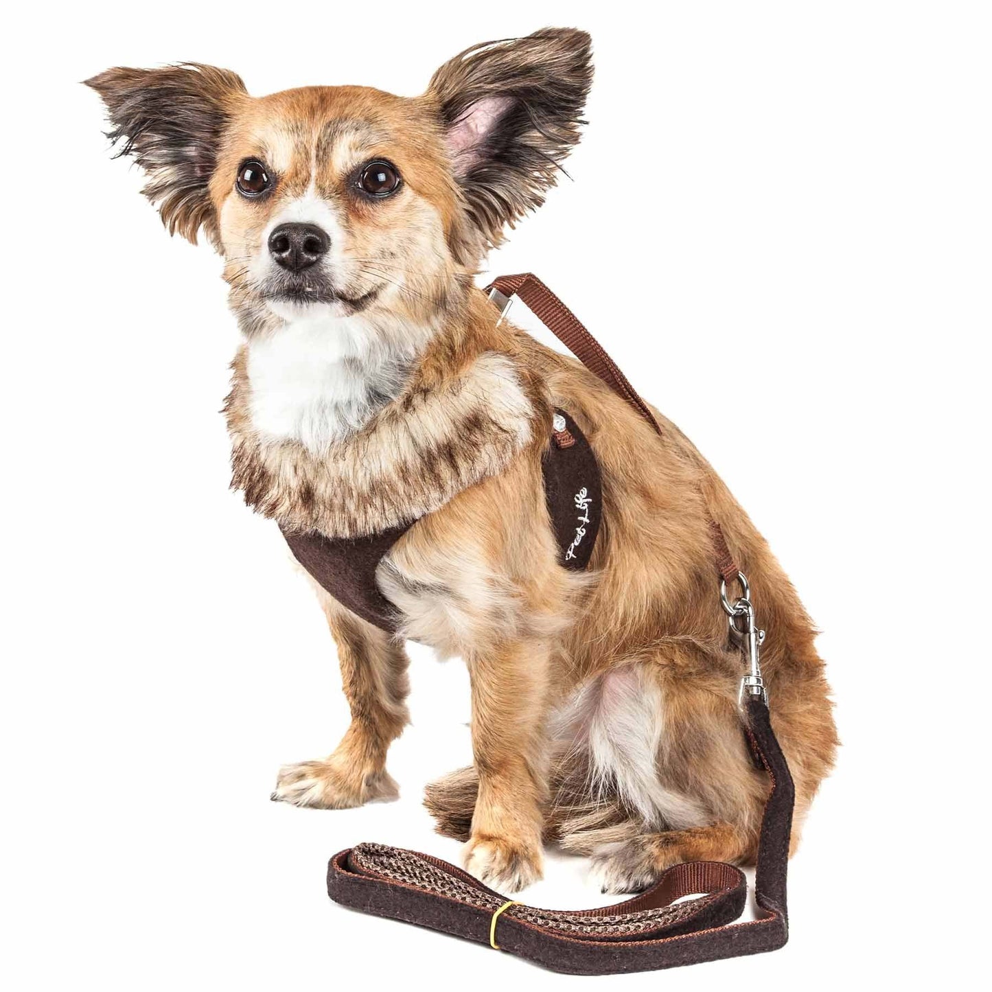 Adjustable Dog Harness with Removable Fur Collar Straps