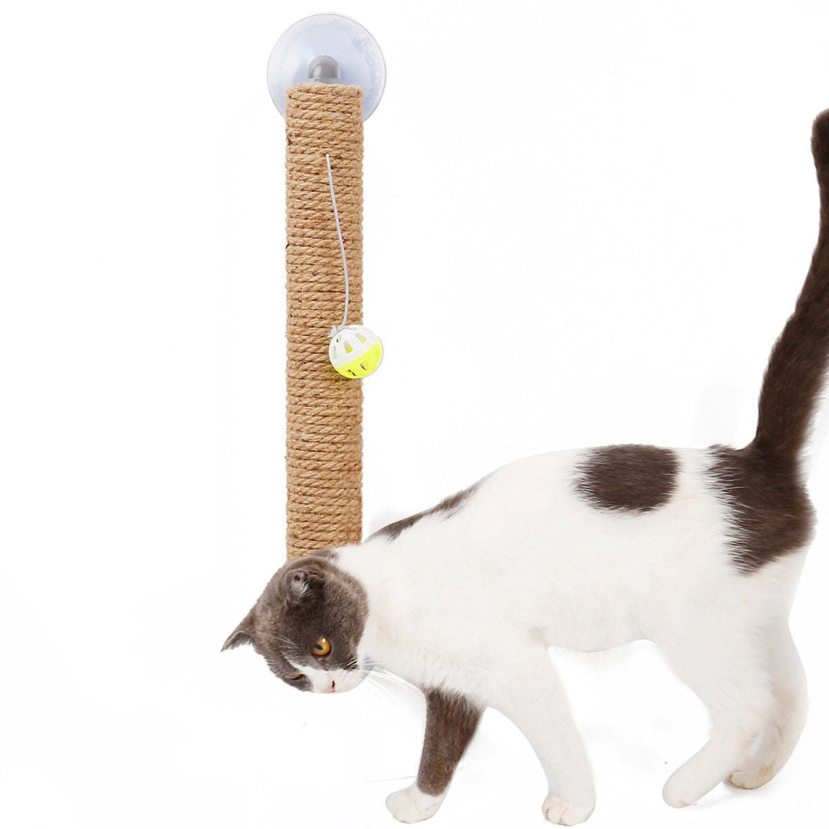 The Pet Life 'Stick N' Claw' Cat Scratcher is a suction cup toy with sisal rope, perfect for scratching and saving space. - Wolldi