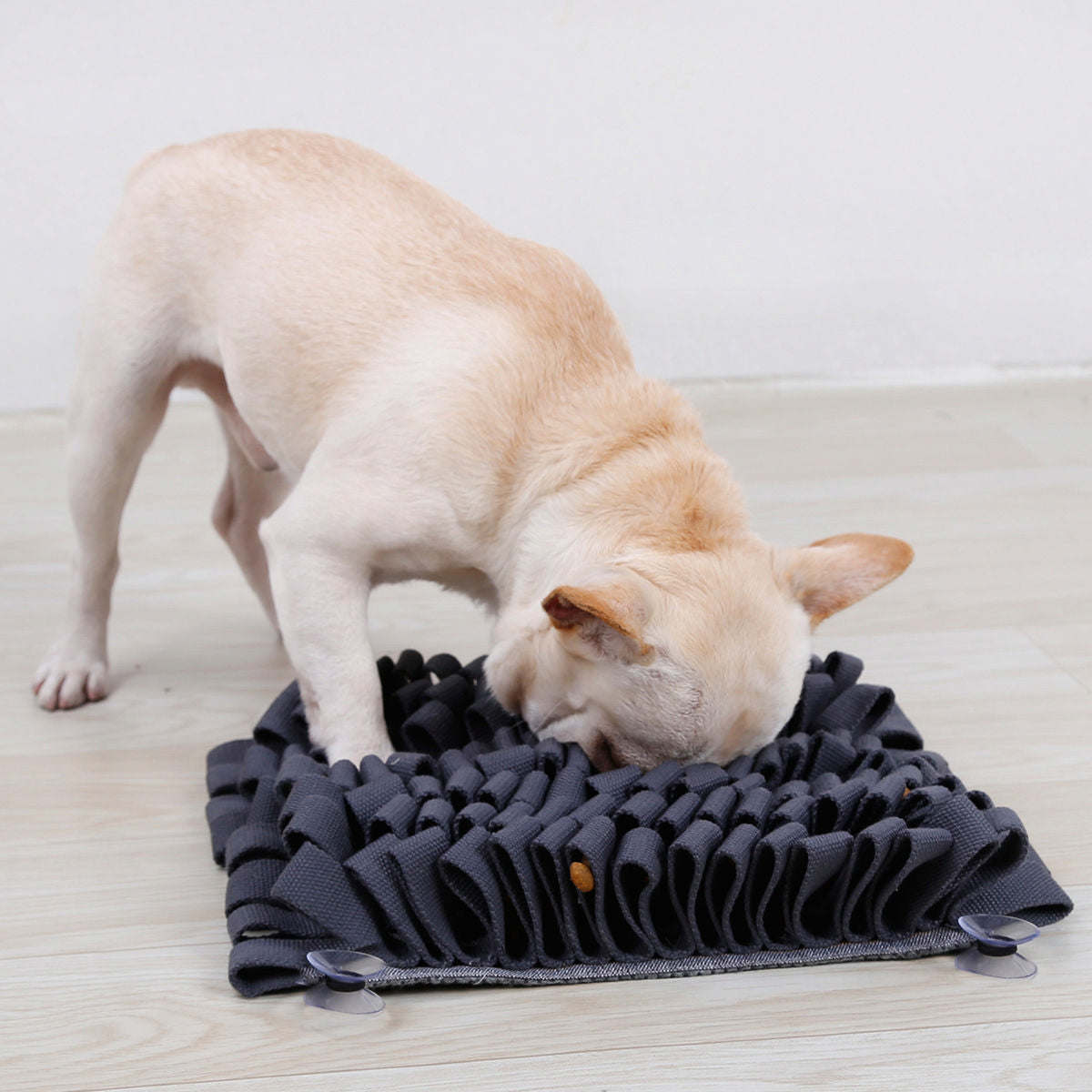 The Pet Life 'Sniffer Grip' is a suction-based snuffle mat for pets, perfect for cognitive development and digestive aid. - Wolldi