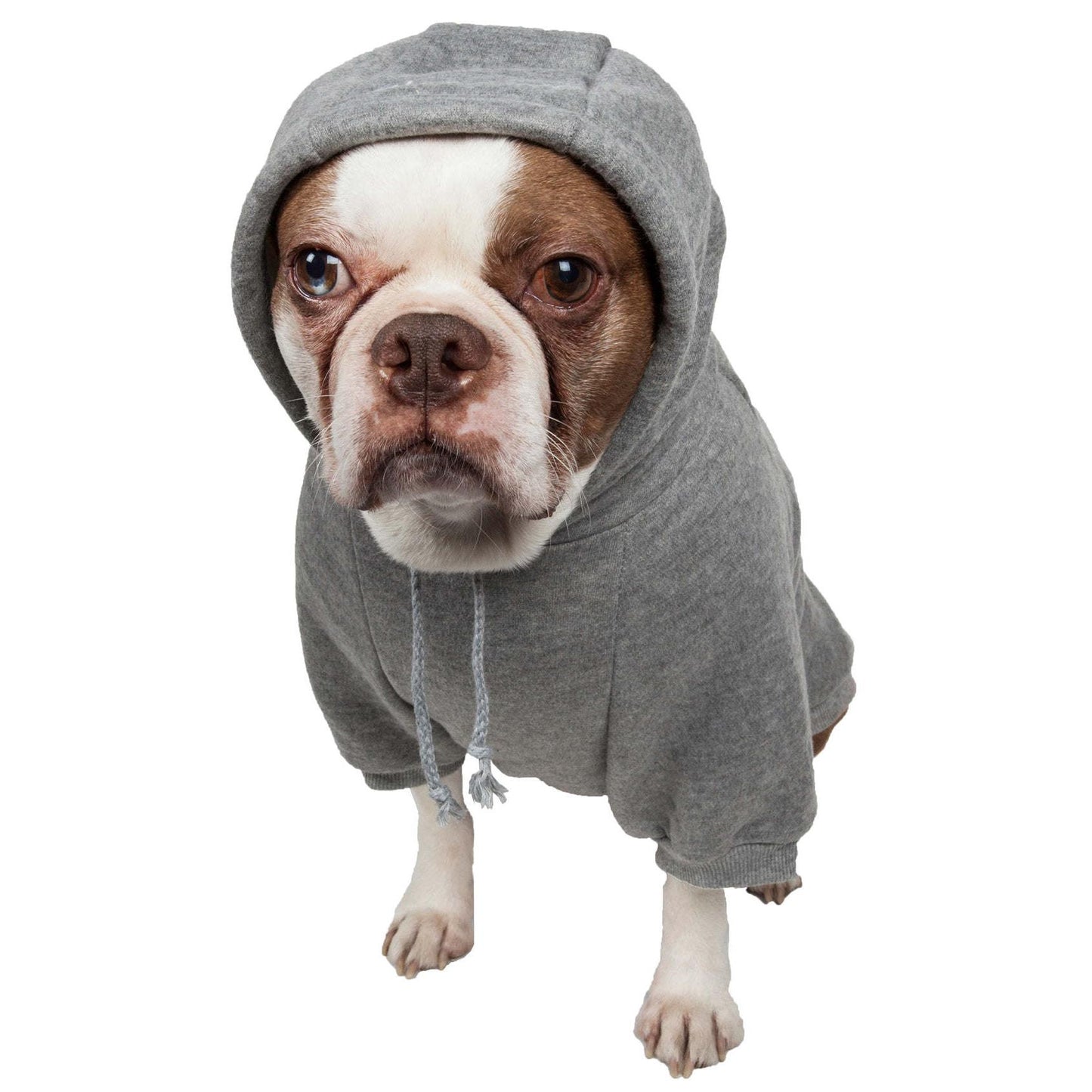 Cotton pet hoodie with leash slit Fashion