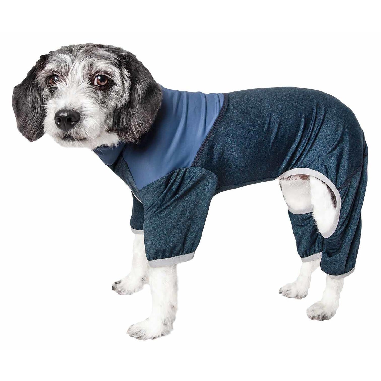 Lightweight UV protection tracksuit for dogs. Fashion