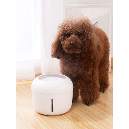 Filtered Water Fountain for Pets