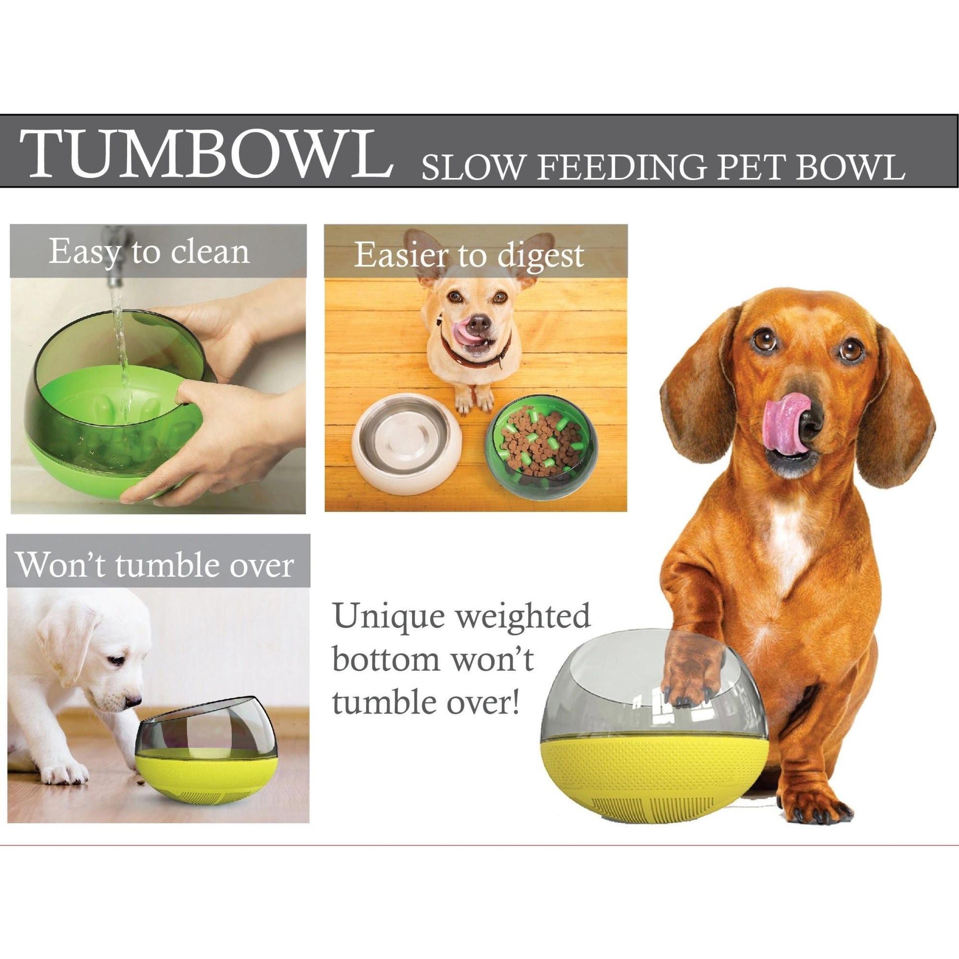The Pet Life 'Tumbowl' is a slow feeding pet bowl that reduces eating speed and aids digestion. - Wolldi