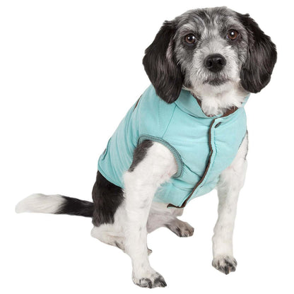 Insulated Pet Coat. Fashion