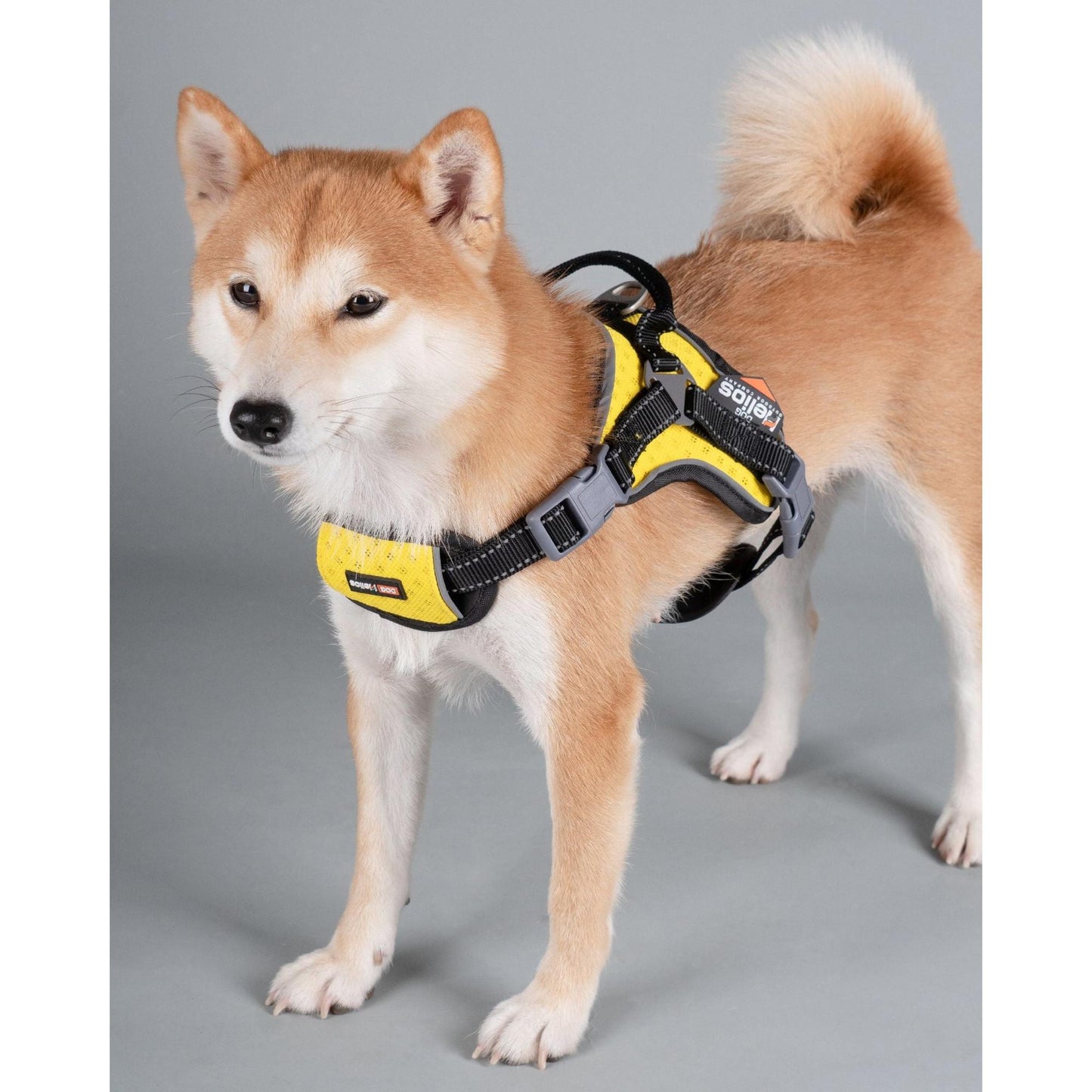 The Dog Helios 'Scorpion' harness offers comfortable and durable high-performance for dogs. - Wolldi