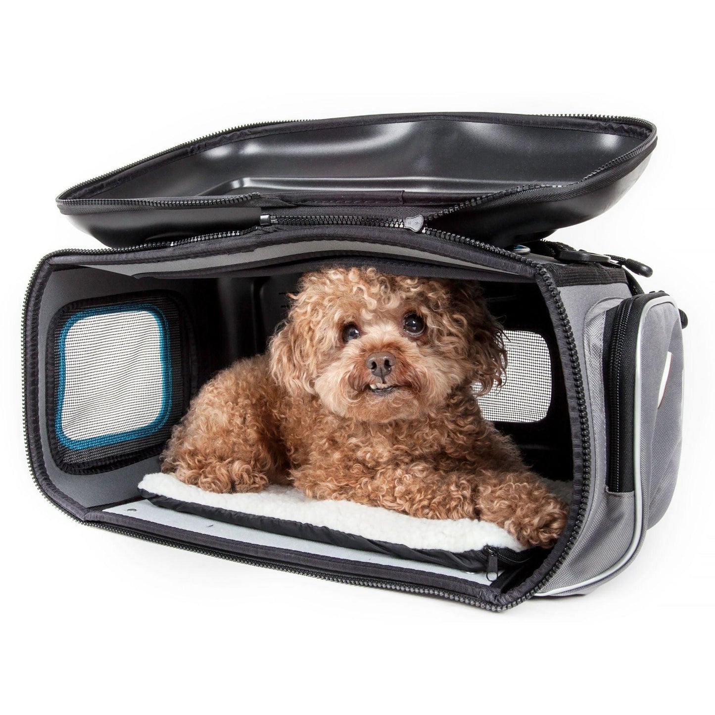 Airline-approved pet carrier with contoured design Explorer