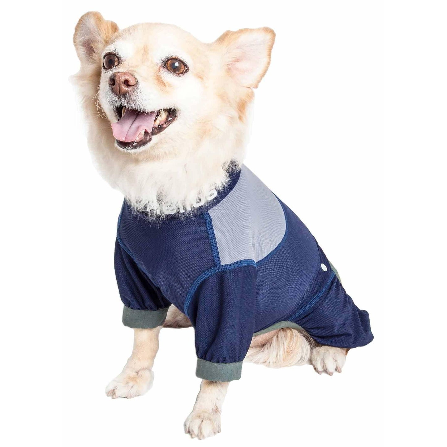 Dog track suit Fashion