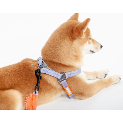 Touchdog 'Macaron' 2-in-1 Nylon Dog Harness and Leash with Comfortable Grip. - Wolldi