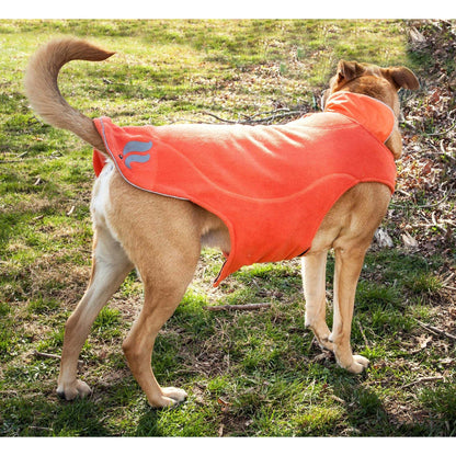 Waterproof 2-in-1 Dog Jacket