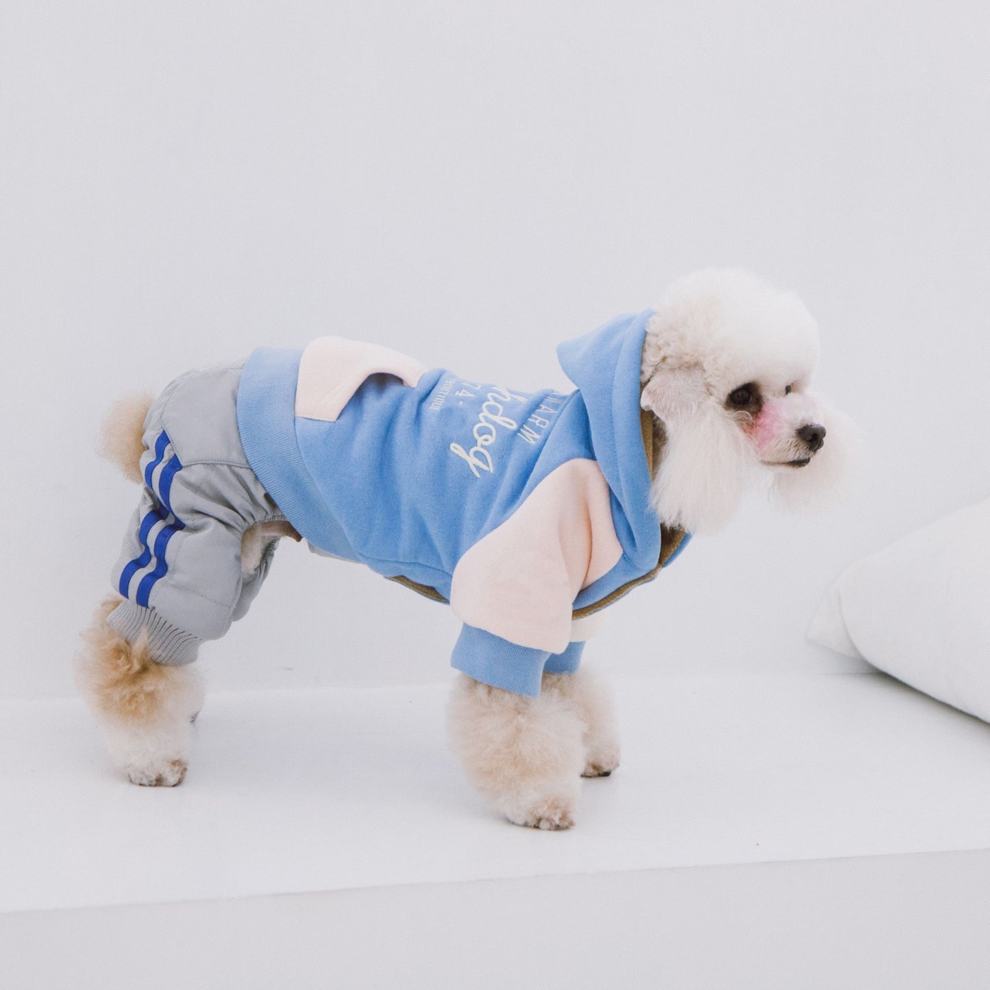 Touchdog 'Heritage' Soft-Cotton Fashion Dog Hoodie - Comfortable, stylish, and convenient for your furry friend. - Wolldi