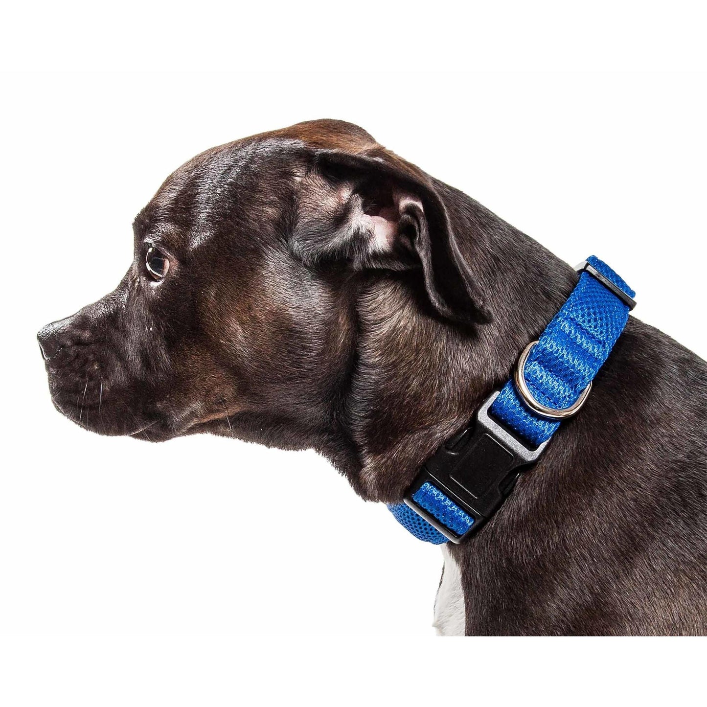 Breathable Dog Collar Straps