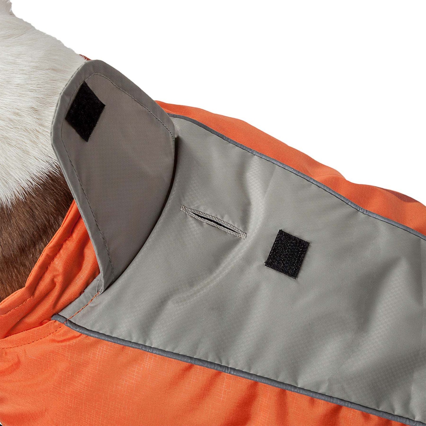 "Waterproof dog coat with Blackshark technology" Fashion