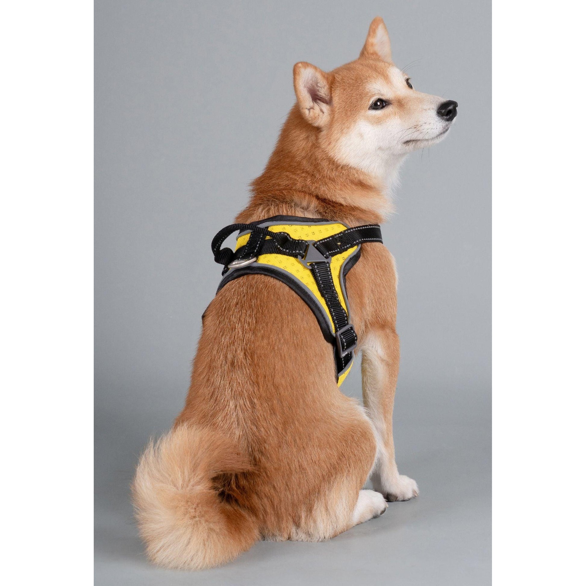 The Dog Helios 'Scorpion' harness offers comfortable and durable high-performance for dogs. - Wolldi