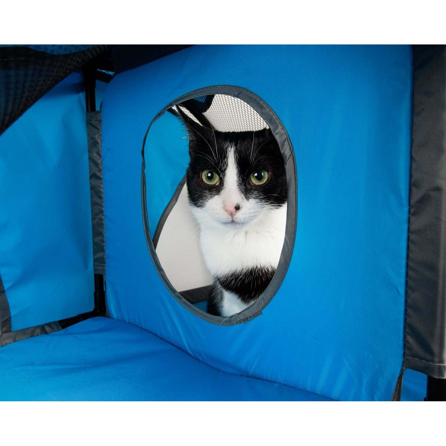 Collapsible Cat House for Multiple Cats HomeStyle