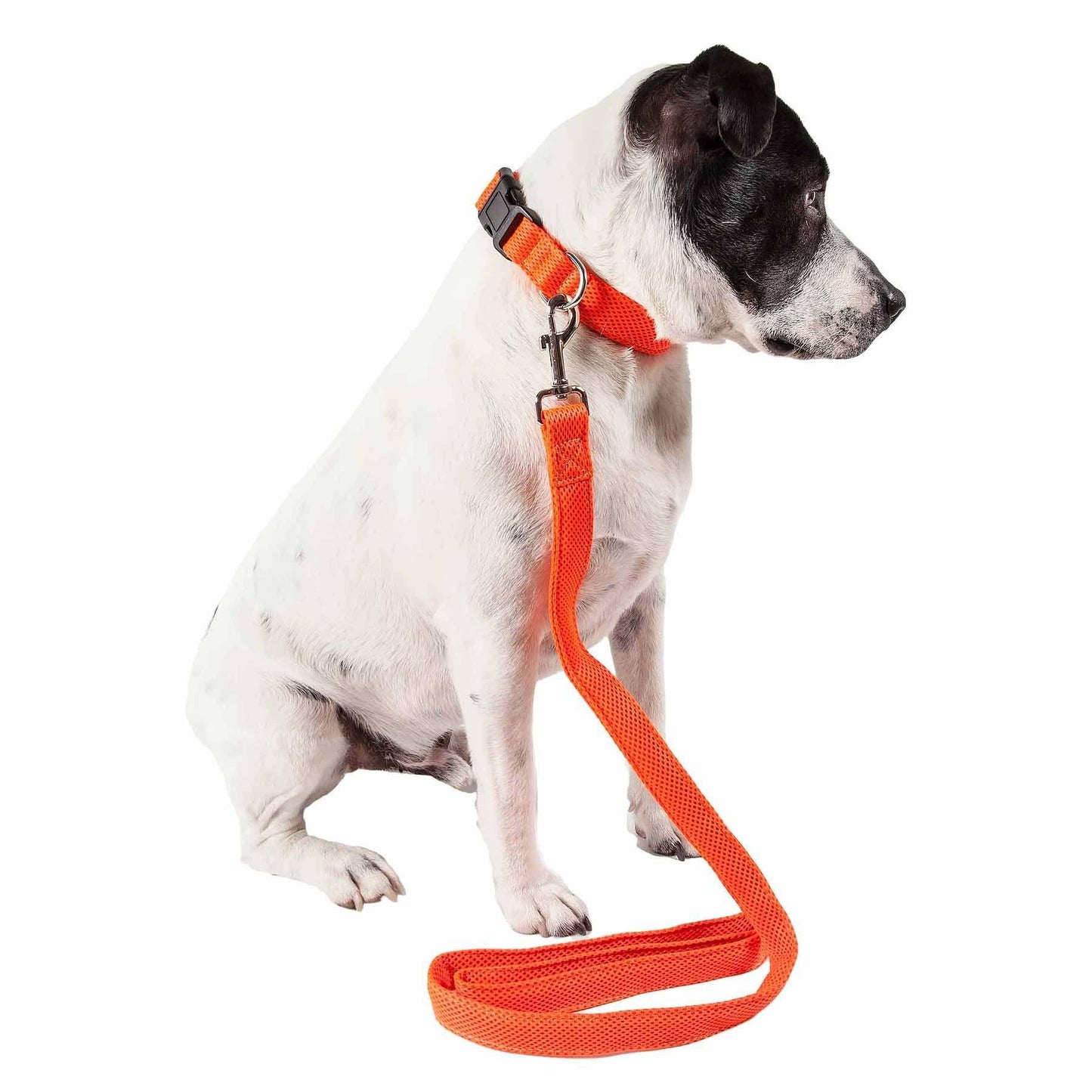 Breathable adjustable dog leash-colla Straps