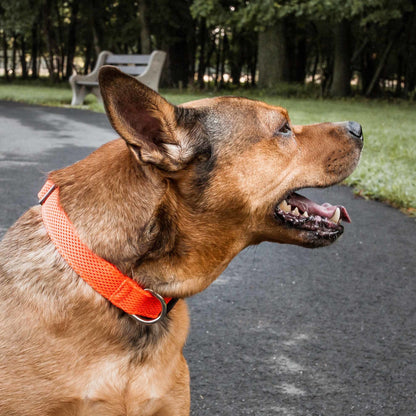 Breathable Dog Collar Straps