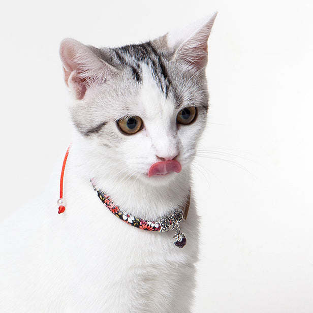 The Touchcat Lucky Charms Designer Cable Necklace Cat Collar is stylish and comfortable for cats. - Wolldi