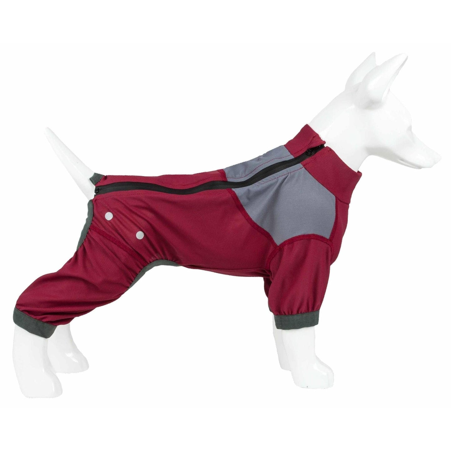 Dog track suit Fashion