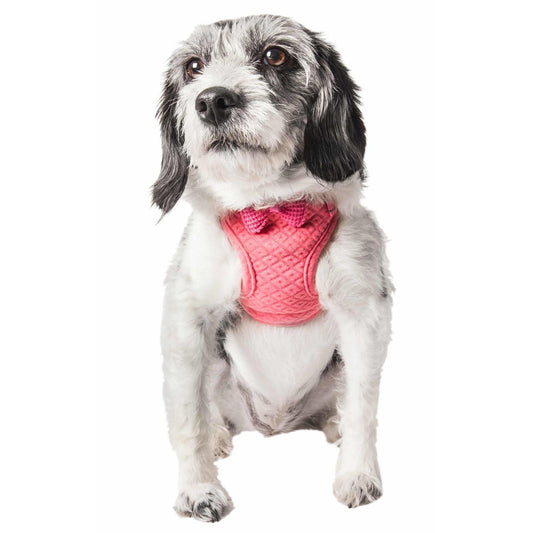 Dog Harness with Bowtie Straps