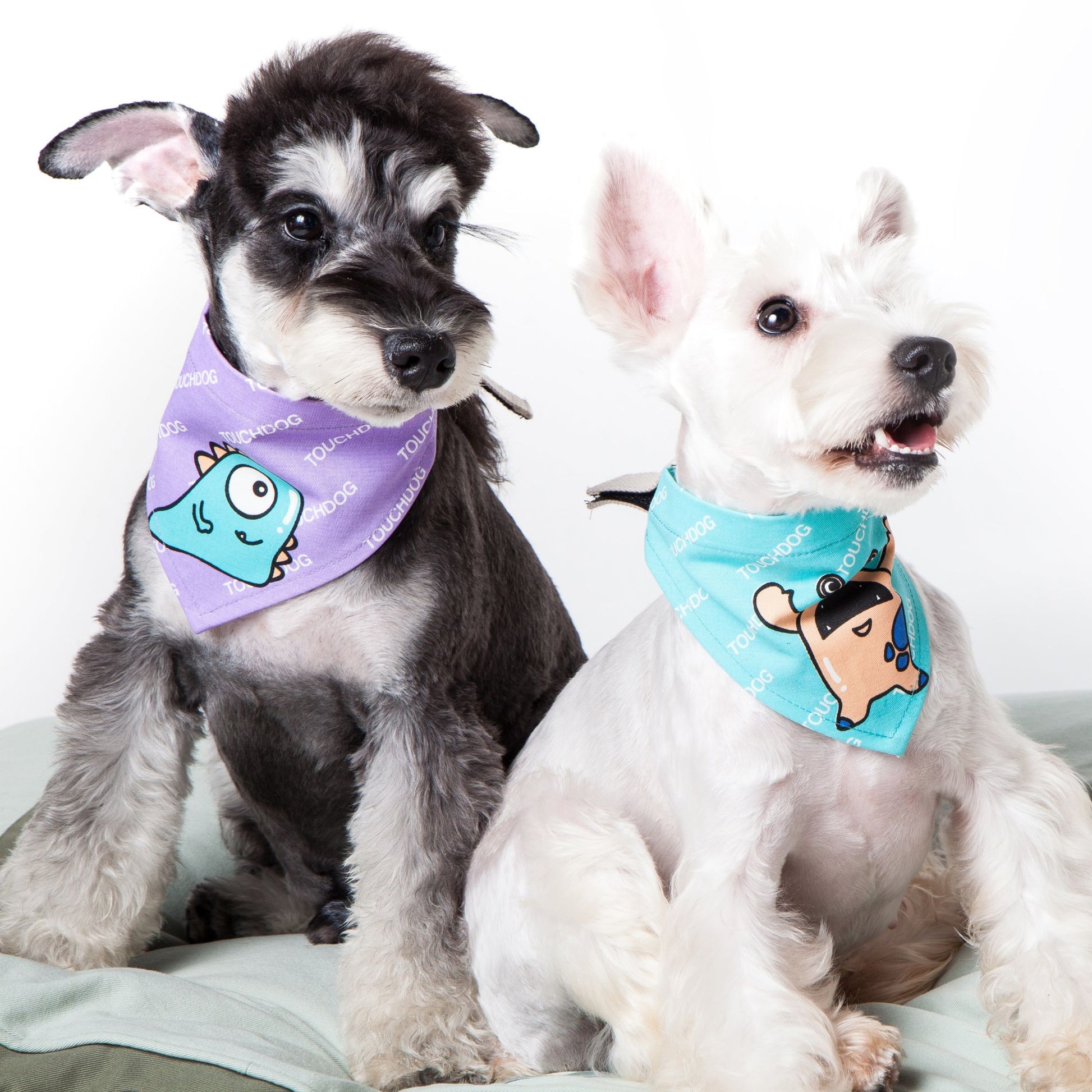 Super stylish and convenient Velcro bandana for dogs, available in multiple sizes. - Wolldi