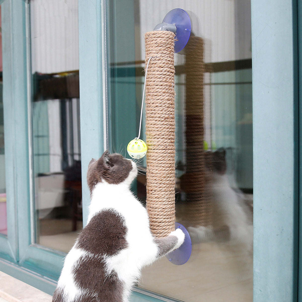 The Pet Life 'Stick N' Claw' Cat Scratcher is a suction cup toy with sisal rope, perfect for scratching and saving space. - Wolldi