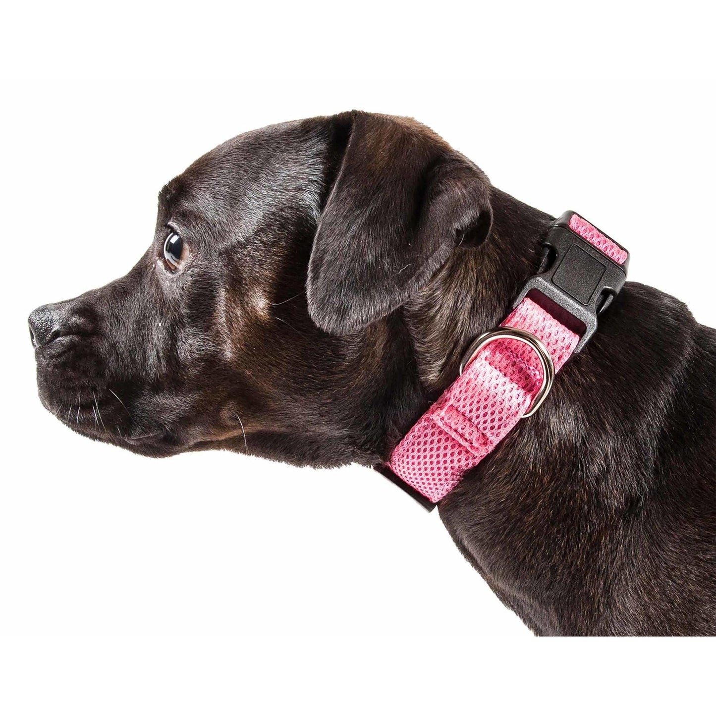 Breathable Dog Collar Straps