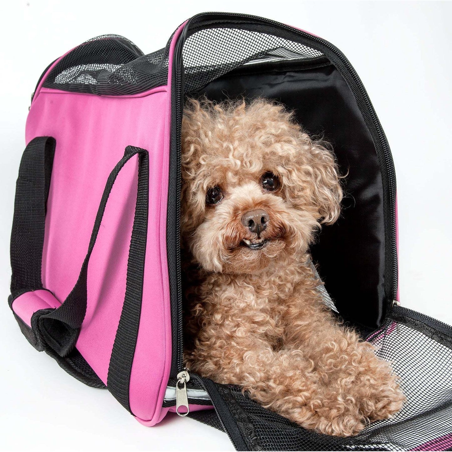 Airline pet carrier with adjustable Transport