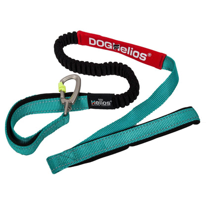 Indestructible dog leash and collar. Straps