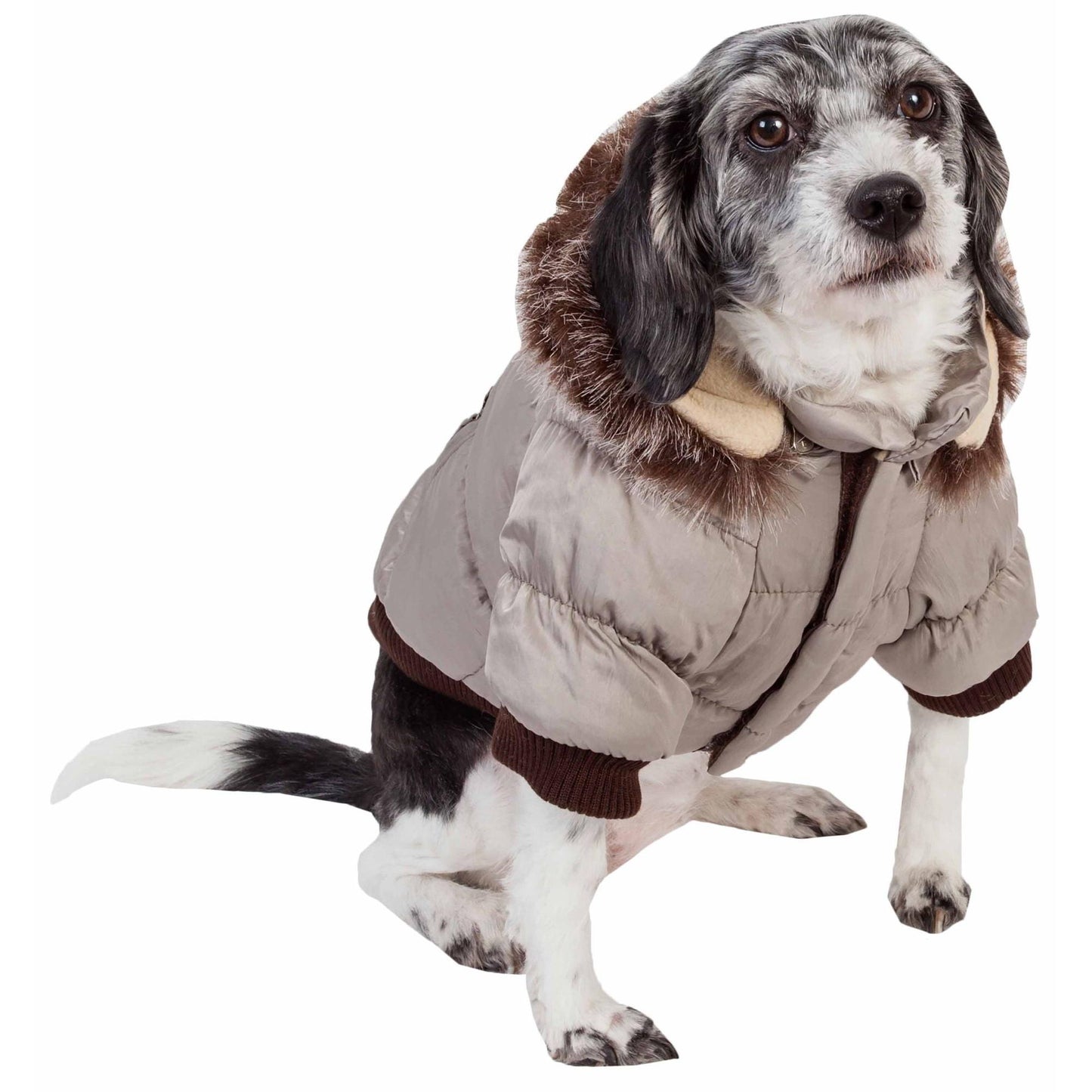 Insulated Pet Parka Coat Fashion
