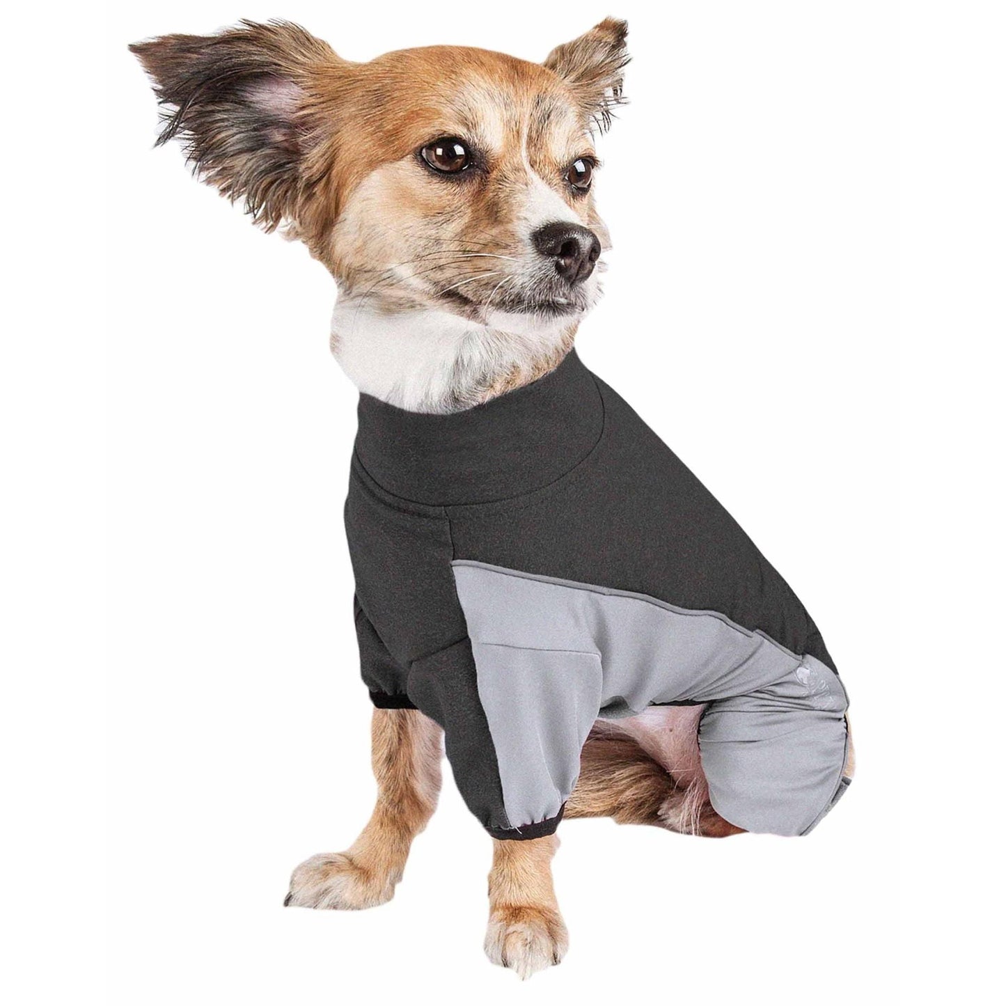 Tracksuit for Pets Canina