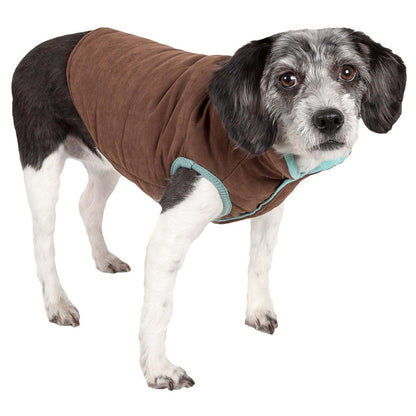 Insulated Pet Coat. Fashion