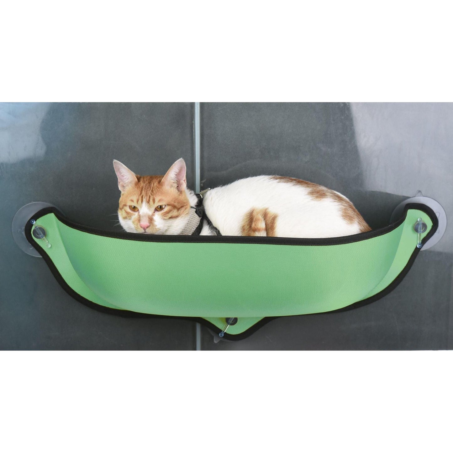 'Suction cup cat lounger attaches to glass and hard surfaces.' - Wolldi